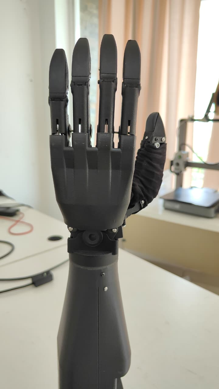 Bendita Bionics Blog Image