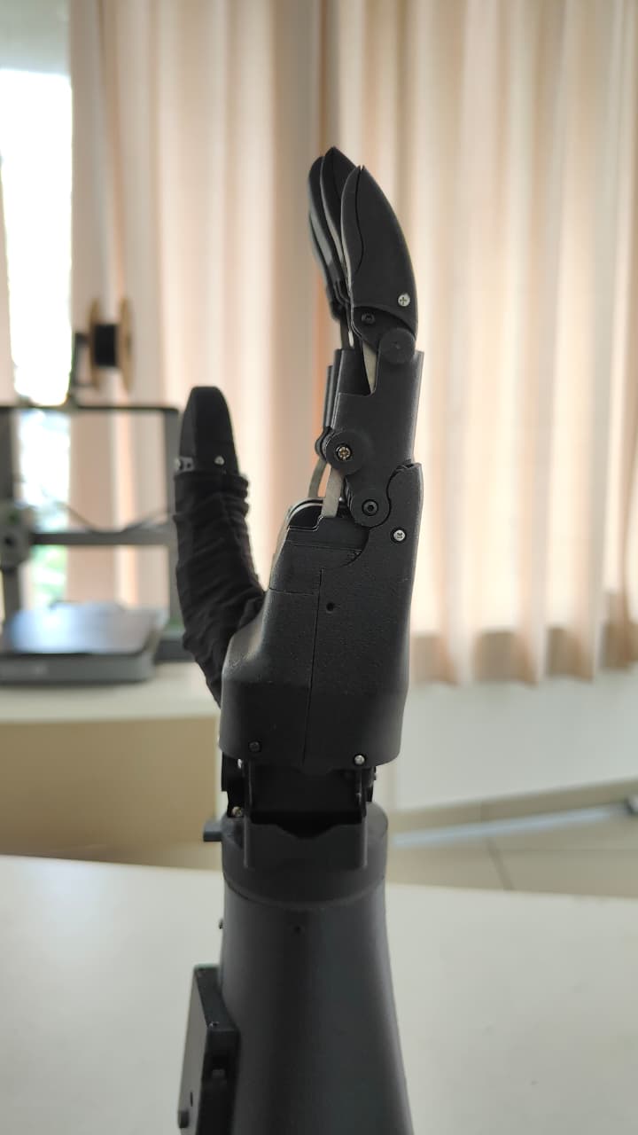 Bendita Bionics Blog Image
